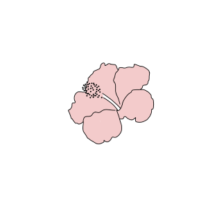 ハイビスカスが一年中咲く島